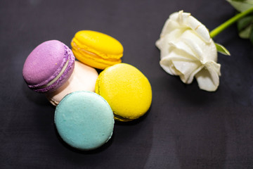 Macaroon cakes of different colors lie on a dark background, next to a white rose