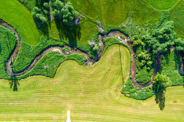 Germany, Bavaria, Allgäu, aerial view river Guenz meandering