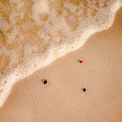 Sea Beach and Soft wave of blue ocean. Summer day and sandy beach background.