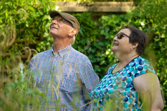 Pareja de personas mayores (abuelos) observando detalles de la naturaleza en medio de un parque urbano en una tarde de un d&iacute;a de verano soleado. 