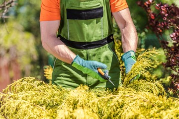 Removing Unhealthy Branches