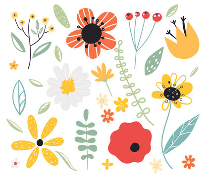 Early spring forest and garden flower.Set of decorative floral design elements. Flat cartoon vector illustration.