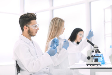Fototapeta premium group of young biologists sitting at the laboratory table