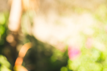 Obraz premium Abstract blurred natural green light beautiful background. Design backdrop.