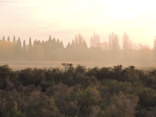 niebla