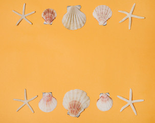 Conchas, caracolas y estrellas de mar sobre fondo amarillo.