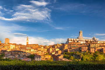 Obraz premium Siena town, panoramic view of ancient city in the Tuscany region of Italy, Europe.