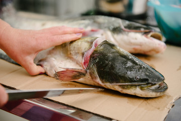 The cook cuts a large fish on the table with a knife