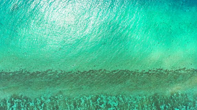 Coral reef Anita's Reef Thailand Similan Islands aerial drone trucking high angle shot