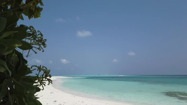 revealing shot of paradise beach behind tropical plant crystal clear water and white sand Philippines