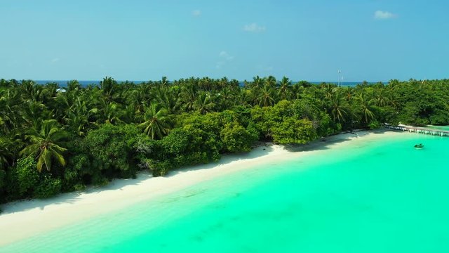 diversity of coconut trees planted along the beach in the northern Philippines aerial drone tucking left shot