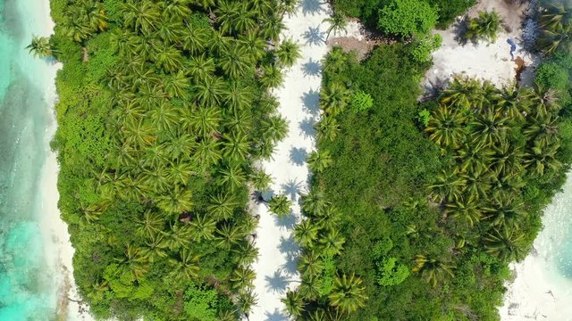 aerial drone shot of desert island coconut with palm trees and white path dividing it on two