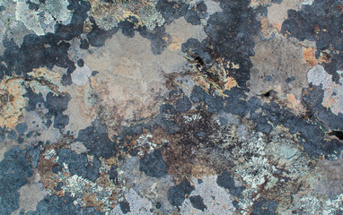 Multicolored lichen on the stone. Stone texture. Natural background