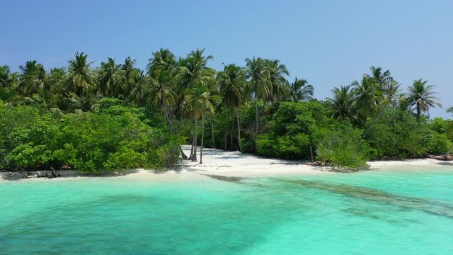 Tropical sandbank island with Arecaceae palm forest with beautiful white sand beach aerial drone panoramic shot Philippines