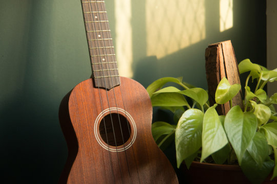 Ukulele