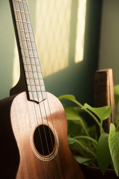 Ukulele