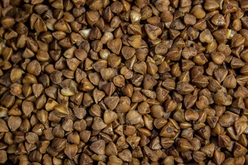 texture of buckwheat close-up