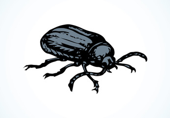 Beetle barbel. Vector drawing