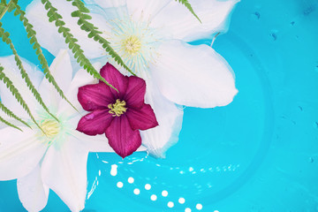 flower floating in blue water, tropical colors