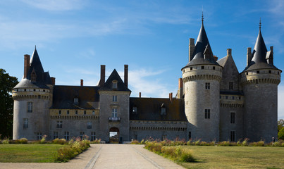 Fototapeta na wymiar View of Chateau de Sully-sur-Loire