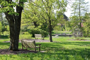 The park benches under the spring trees in the park.