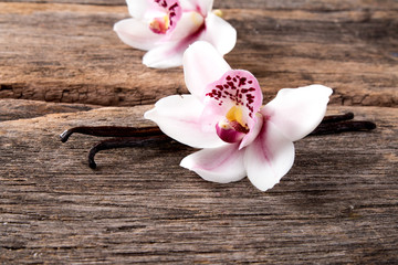 Dried vanilla pods and orchid flower on wooden background
