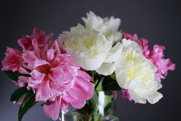 Fototapeta premium Pfingstrosenstraus