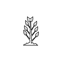 Plant Line Icon In Flat Style Vector For Apps, UI, Websites. Black Icon Vector Illustration