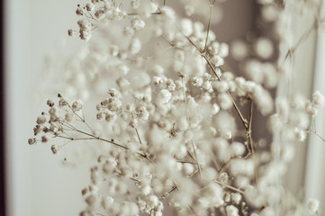 background with flower