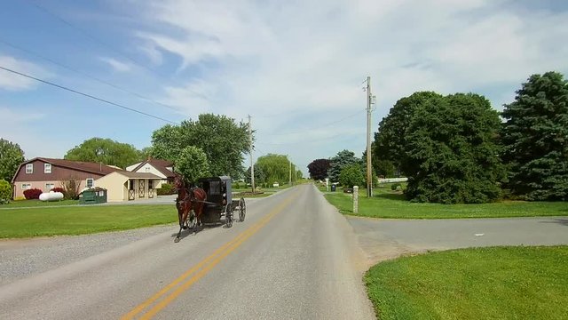 Driving Along Amish Countryside Came Across a Horse and Buggy