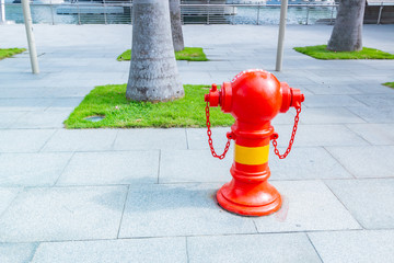 Fire hydrant  Red in the city