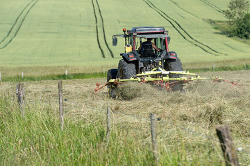 tracteur agricole retournant le foin en action