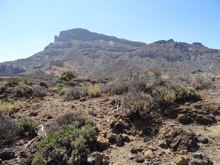 Parque Nacional del Teide, Tenerife