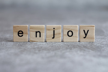 Enjoy word written on wood cube