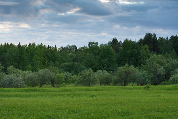 Dramatic sunset on the summer field.