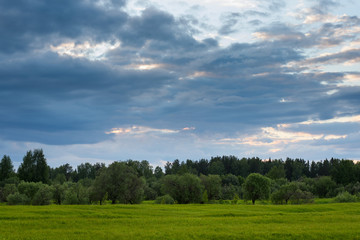 Dramatic sunset on the summer field.