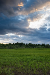Dramatic sunset on the summer field.