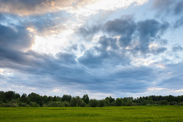 Fototapeta premium Dramatic sunset on the summer field.