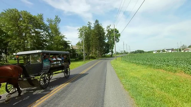 Driving Along Amish Countryside Came Across 2 Horses and Buggy