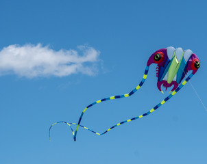 Colorful squid kite with long tail flies against blue sky with puffy cloud in background.
