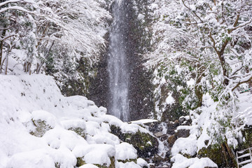 雪冬
