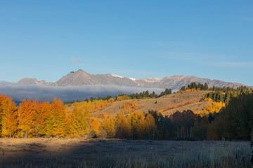 Scenic Autumn Landscape in the Tetons