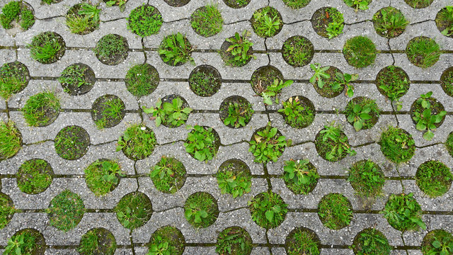 Rasengitter als Hintergrund, gr&uuml;n grau, Parkplatz