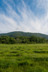 尾瀬ヶ原　湿地と森林