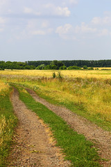 Fototapeta na wymiar road to summer steppe landscape. field and blue sky