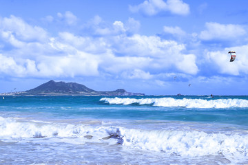 ハワイ：ラニカイビーチ　青く綺麗な空・海、遠浅の綺麗な砂浜