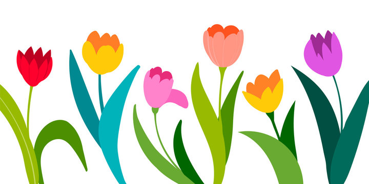 Color vector tulips isolated on white background. Flowers in different shapes for your design and greetings, postcards card for your loved ones.