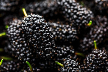 Ripe and fresh fruit of black mulberry, healthy food of juicy mulberry fruit. Close-up, the texture...