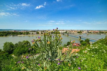 Rainbow bridge and Danube river from fortress in Novi Sad, Serbia.