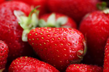 Juicy, ripe natural red strawberries without GMO. Strawberry - full frame. Close-up